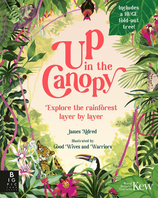 Up in the Canopy : Explore the Rainforest, Layer by Layer by James Aldred