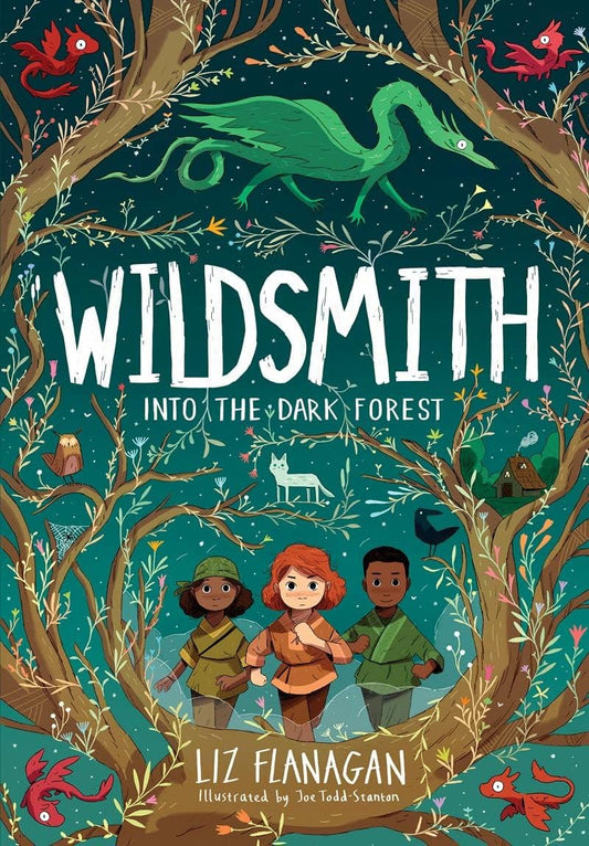 Wildsmith: Into the Dark Forest by Liz Flanagan