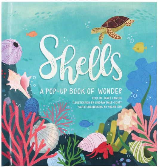 Shells : A Pop-Up Book of Wonder by Janet Lawler