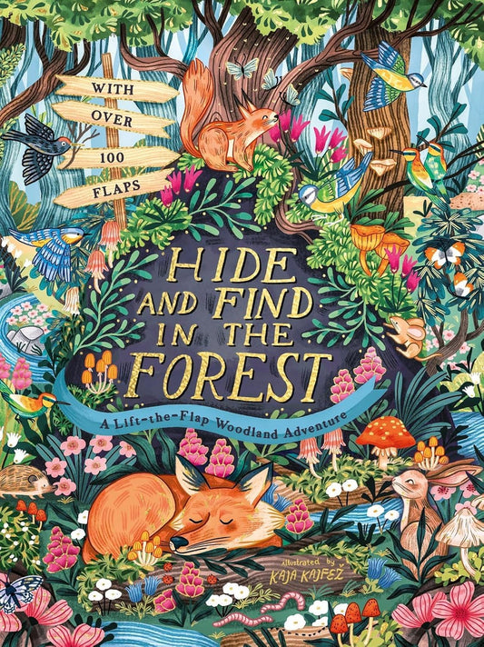 Hide and Find in the Forest: A Lift-the-Flap Woodland Adventure by Scholastic