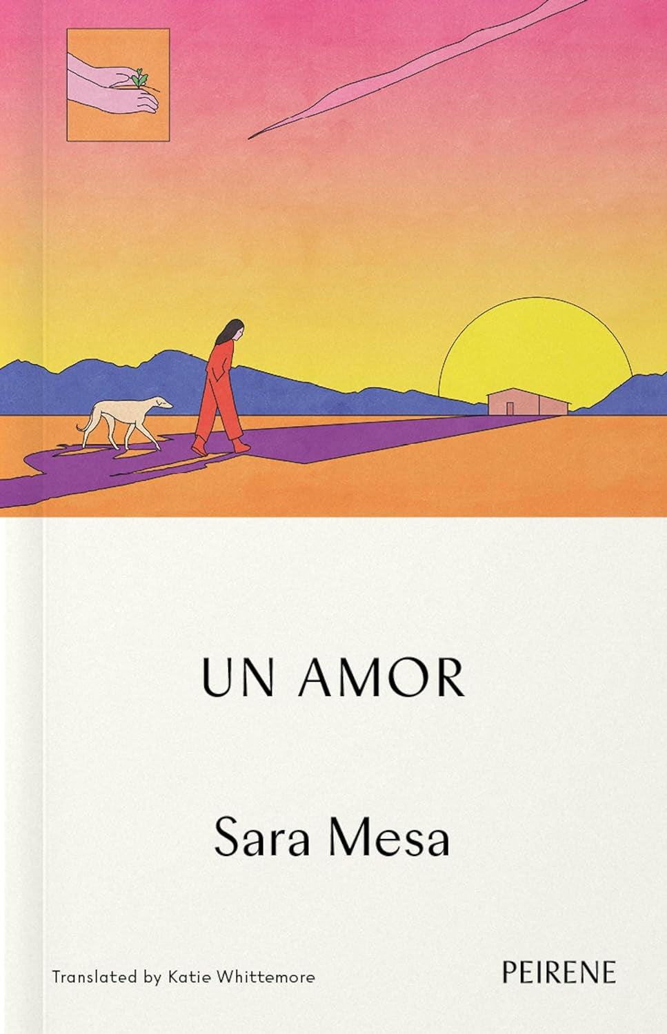 Un Amor by Sara Mesa