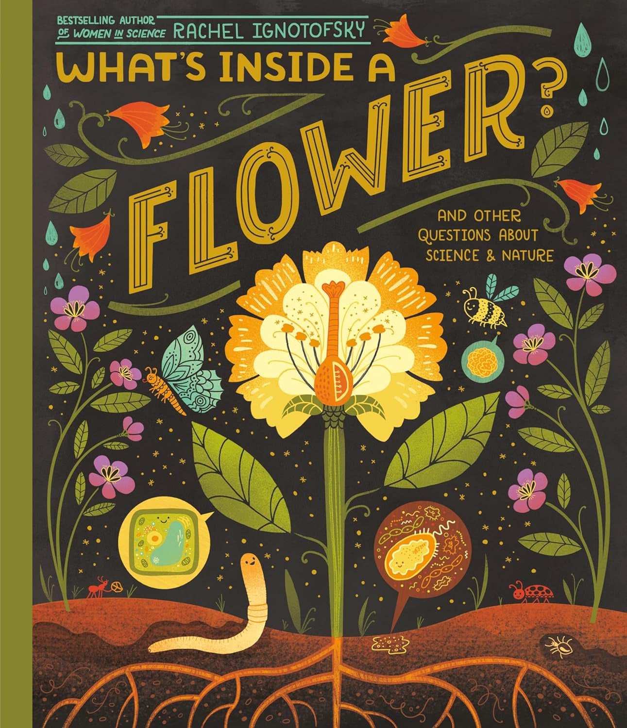 What's Inside a Flower? : And other questions about science and nature by Rachel Ignotofsky