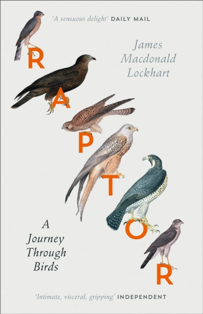 Raptor : A Journey Through Birds by James Macdonald Lockhart